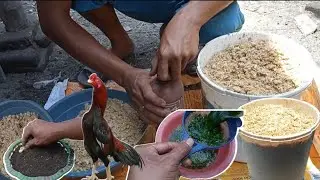 HOW TO INCREASE CHICKEN APPETITE WITH SPECIAL HERBAL MEDICINE AND TIPS FOR SAVING ON MAKING FEED