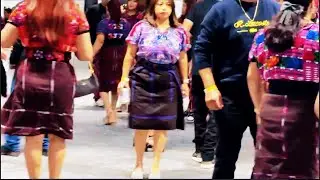 La vida del Marimbista - Alfredo Pedro y su Marimba