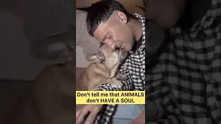 Impossible to Hold Back Tears 🥹 Touching Animal Moments Caught on Camera #short #pets