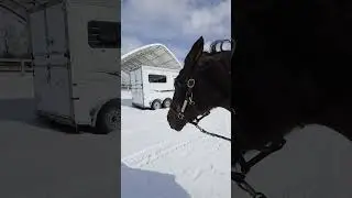 Spirit Seeker vs. the Arctic Blast ❄️🐎 | The Legendary Triple Snow Rollc