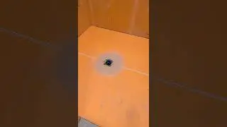 Done with the bears cave! #work #construction #shower #building #schlutersystems #video
