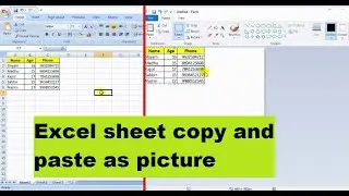 excel sheet convert to picture copy & paste anywhere || এক্সেল থেকে ছবিতে রূপান্তর