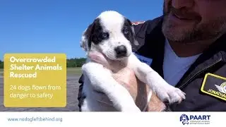 Animals Rescued From Overcrowded Shelter