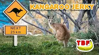Trying Exotic Jerky | Kangaroo, Ostrich, Crawfish?