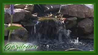 Leak Detection Protocol | Volunteer Gardener