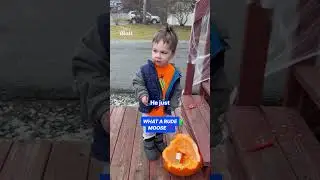 Toddler's hilarious reaction to moose eating his pumpkin