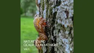 Heat Bug Sound