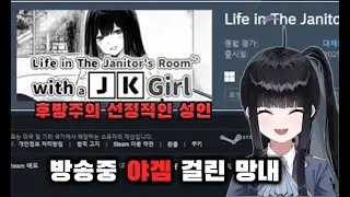 야겜 걸린 망내