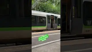 Class 350/2 Desiro Train Doors Closing.