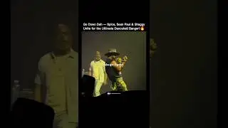 DYK &ldquo;Go Down Deh&rdquo; brought together three of Jamaica&rsquo;s biggest stars? Spice, Sean Paul, and Shaggy