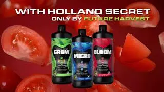 We Don't Grow Tomatoes