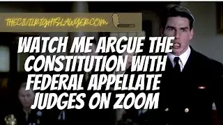 Watch Me Argue the Constitution with Federal Appellate Judges on Zoom