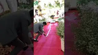 Money dance #money #weddingparty