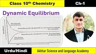 Dynamic Equilibrium and it's graphical representation #aslacademy #akhtarscieneandlanguageacaedmy