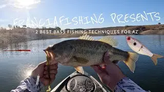 MY 2 Techniques to ALWAYS Catch Fish in AZ