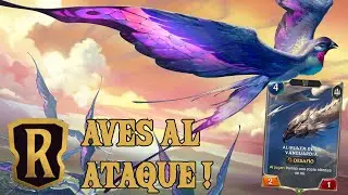 🦅 Mazo Quinn con Aves | Eterno | Muy entretenido el subtipo Ave | LoR