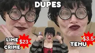 I Found LimeCrime DUPES on Temu For So Cheap! Swatches + Try On!