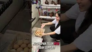 YANG JIJIK SM ULAT JUSTRU HRS NONTON SAMPE HABIS BIAR BRANI YAAA WKWK