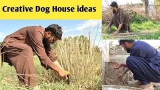 Creative Dog House ideas |Mud House for Puppy |Mini Zoo