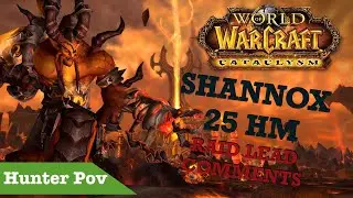 SHANNOX RAID LEAD COMMENT FR - 25 HM - WOW CATACLYSM CLASSIC - FIRELANDS - HUNT POV