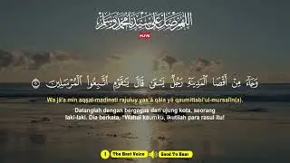 MUROTTAL MERDU PENGANTAR TIDUR,AYAT KURSI, ALWAQIAH,ALMULK,AR RAHMAN,YASIN,BY:Alaa Aqel