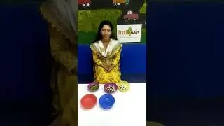 Pulses sorting activity for kids