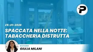 TGPrealpina 25/01/2026 | Spaccata nella notte: tabaccheria distrutta