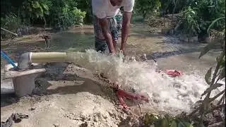 Leo pump/Leo 4hp 4