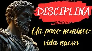 11 Preguntas Estoicas que Cortan la Auto-Enga&ntilde;o | Estoicismo