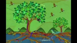 Caracol&iacute; - Jacana Jacana