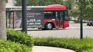 Lynx Orlando: Lake Nona Bound Route 407 Bus #111 at Lake Nona Town Center