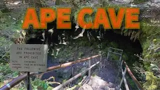 Hike to Ape Cave