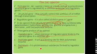 molecular basis of inheritance part 5