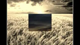 The Harvest Night