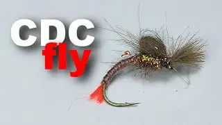 5 Critical Mistakes to Avoid When Tying CDC Dry Fly Brown