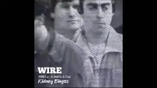 Kidney Bingos - WIRE  [ 1988 📀 A Bell Is A Cup ]