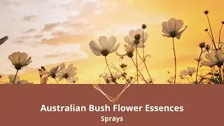 Australian Bush Flower Essences - Creating a Spray