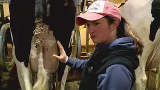 Maryland Farm & Harvest: Milk to Cheese