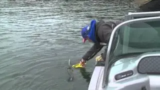 G3 Sportsman - Fall Stripers