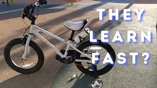 Royal Baby Kids Bike Review | The Perfect Transition Bike