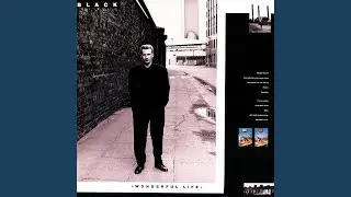 Ravel In The Rain