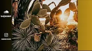 Georgio type beat ~ Cactus drill