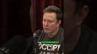 Government Kills Man's Beloved Pets?!