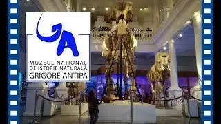Muzeul Antipa 2018: Tur virtual - &copy; Rombadconstruct.ro