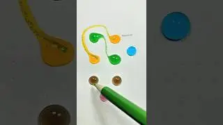 Fun color matching ♋♍😱#games #satisfying #play #shorts #shortvideo