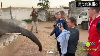 Most Shocking Fails of 2023 #funnyfails #funnyfail #angryanimals #angryanimal