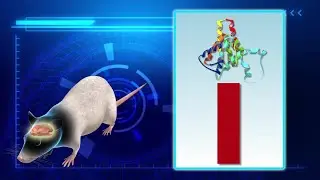 MIT researchers find genetic blockade technique to potentialy treat Alzheimer's disease
