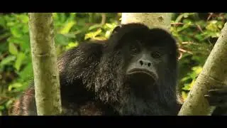 Iber&aacute; National Park - For everyone, forever