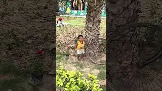 Subhsh park Ambala Cantt 🌳🌿🌿💐🍂