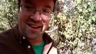 My Father Died of Brain Cancer - Story